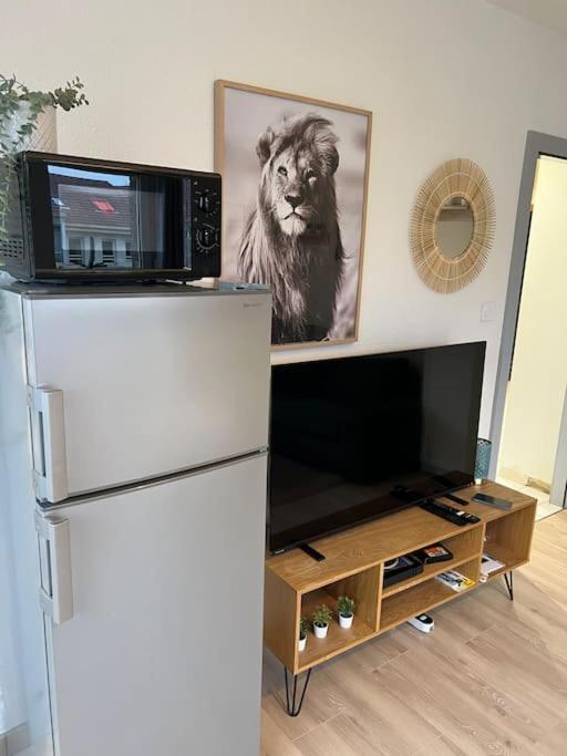 Adorable Appartement Strasbourg Neudorf Parking Sous Sol 外观 照片